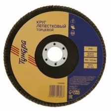 Круг лепестковый торцевой тундра, 150 х 22 мм, Р40