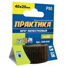 Практика Круг лепестковый с оправкой 40x20мм, P240, 648-977 .